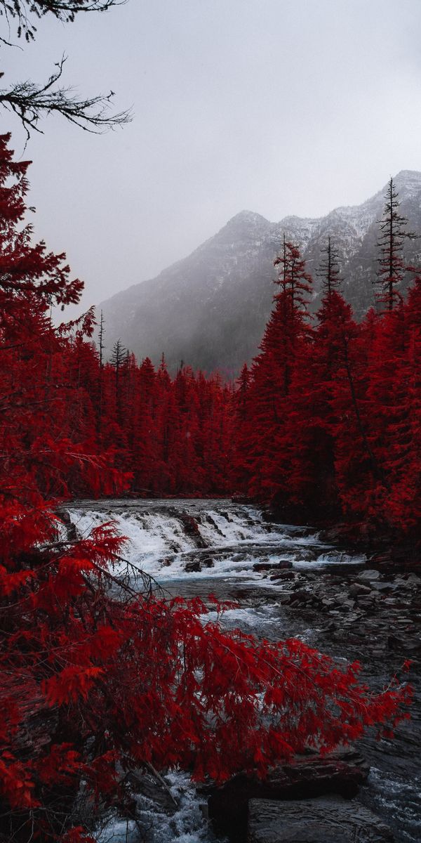 Breathtaking Red Landscape with Fog and Rivers