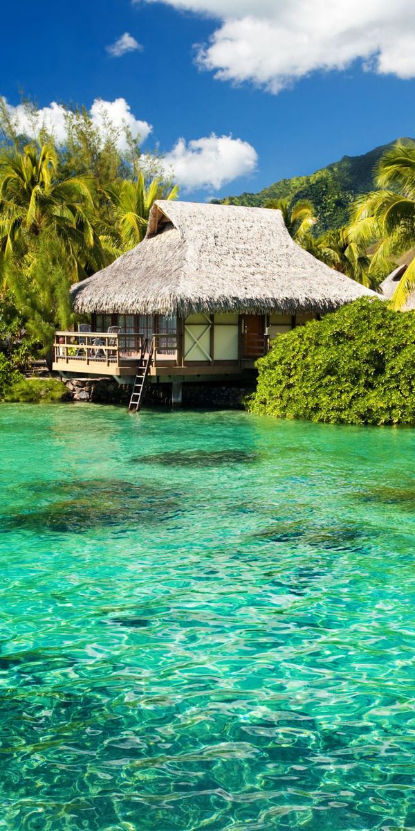 Tropical Beach Landscape with Overwater Bungalows