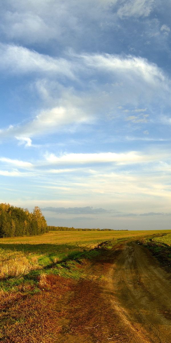Phone wallpaper: Clouds, Roads, Landscape, Trees, Fields free download