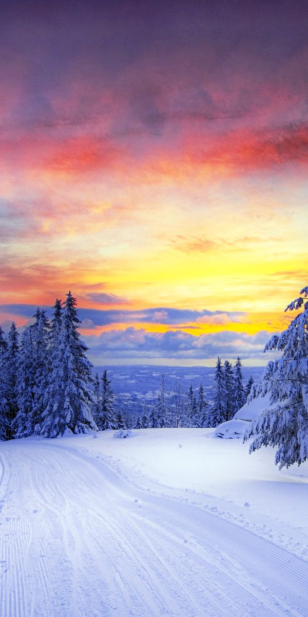 Breathtaking Winter Sunset Landscape with Snowy Trees