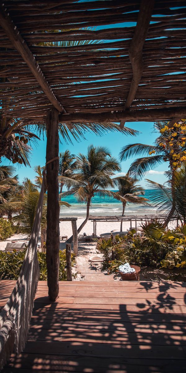 Tropical Beach View with Palms and Blue Skies