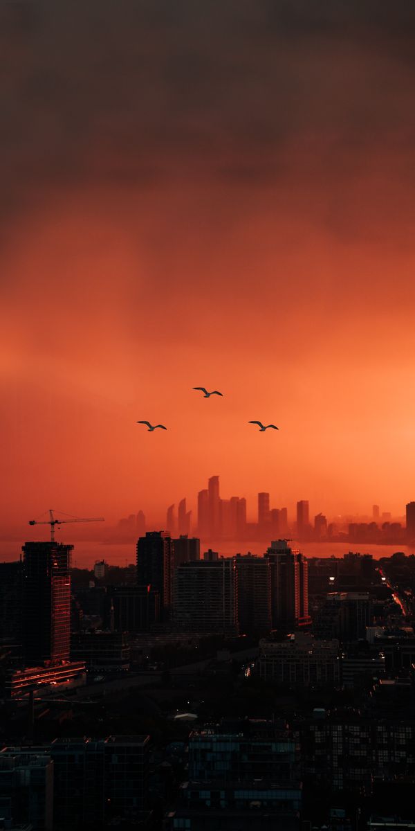 Twilight Cityscape with Birds Flying Overhead