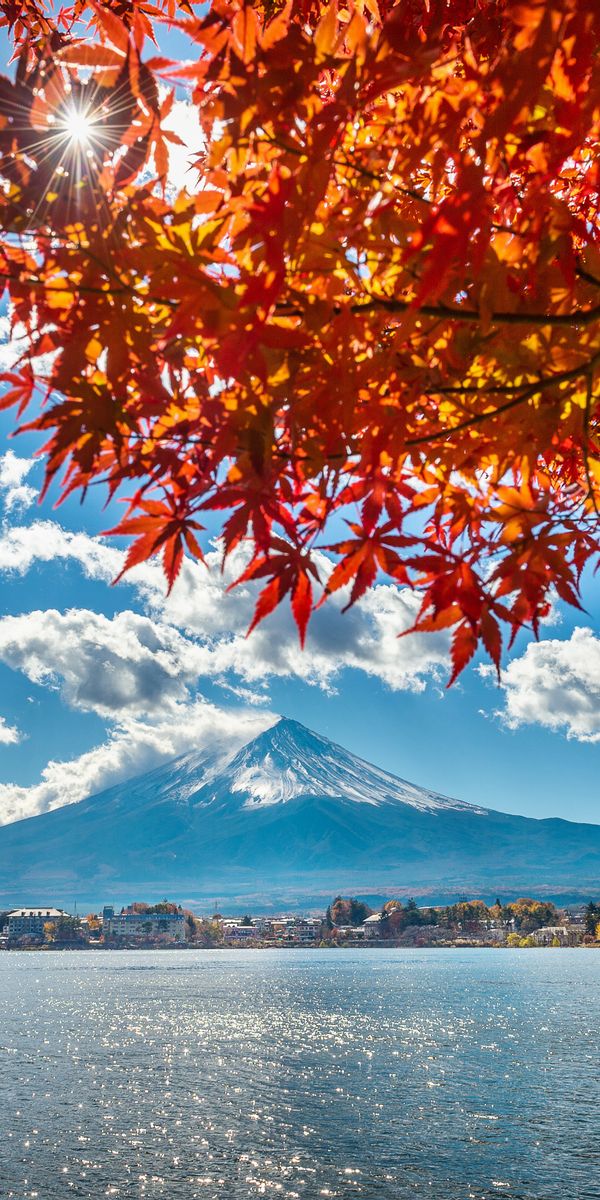 Breathtaking Mount Fuji Wallpaper: Autumn Colors and Serene Lake View