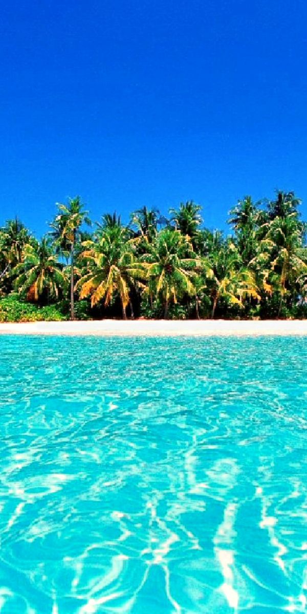 Breathtaking iPhone Wallpaper of a Tropical Maldives Island with Azure Waters