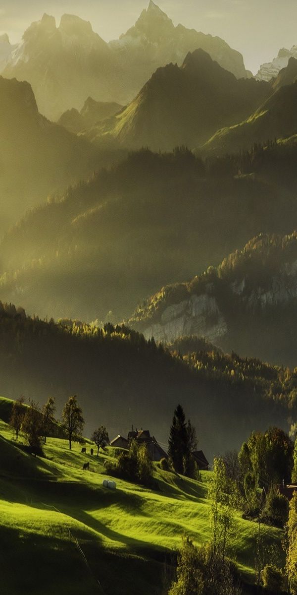 Breathtaking 4K Wallpaper of the Alps: Lush Greenery and Majestic Mountains