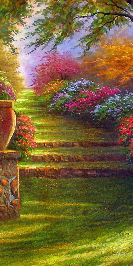 Beautiful Nature Pathway Surrounded by Colorful Flowers