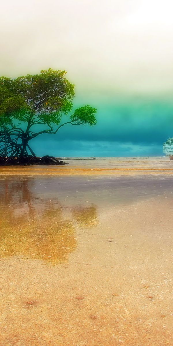 Tropical Beach Scene with Shipwreck and Mangroves