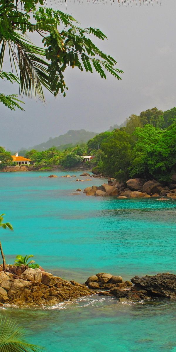 Tropical Island Paradise with Clear Waters and Lush Greenery