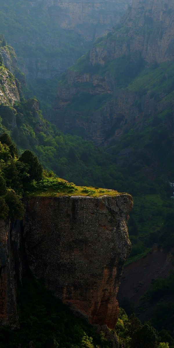 Canyon Landscape with Lush Greenery and Rivers