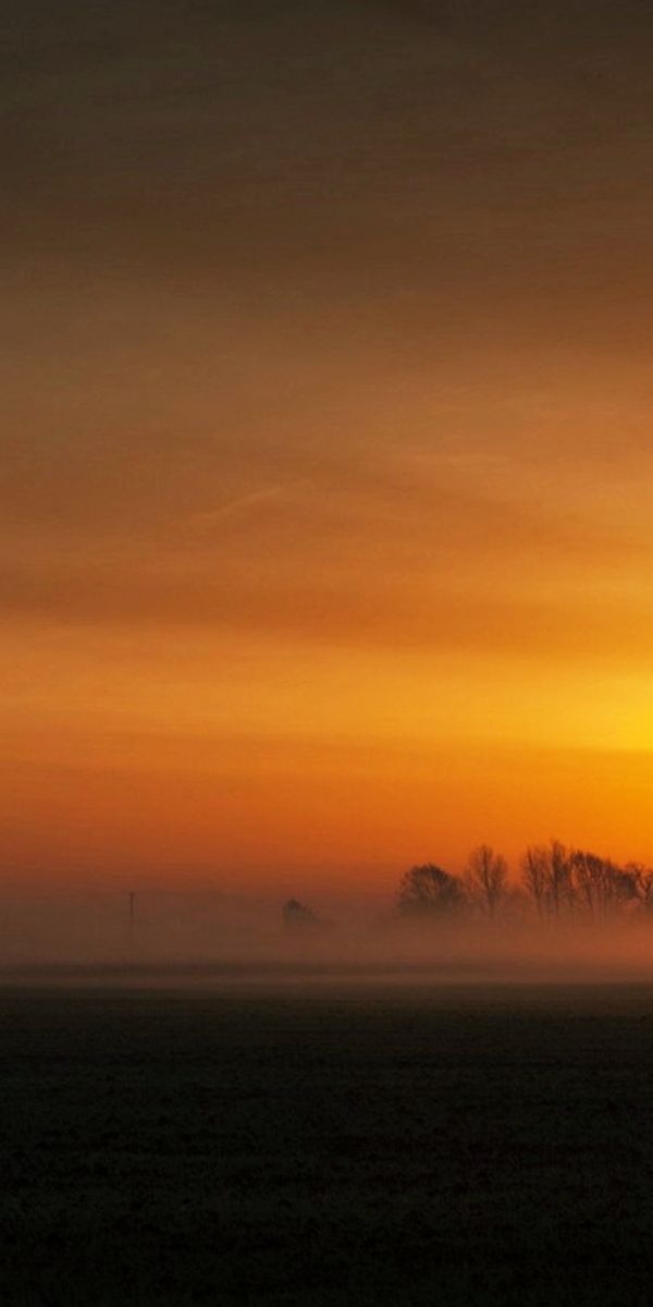 Beautiful Sunset Landscape with a Lone Tree