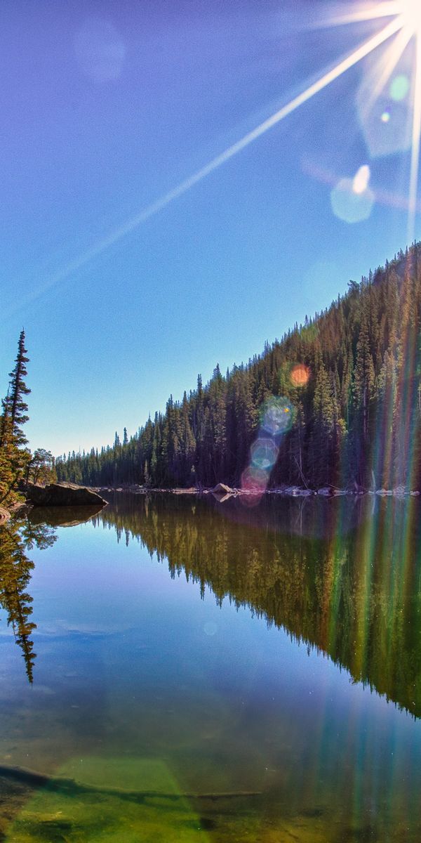 Breathtaking Mobile Wallpaper of a Tranquil Earth Landscape with Water and Trees