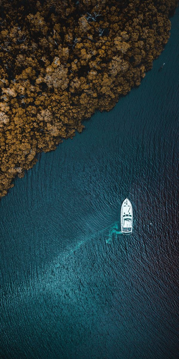 Aerial View of a Yacht Surrounded by Nature