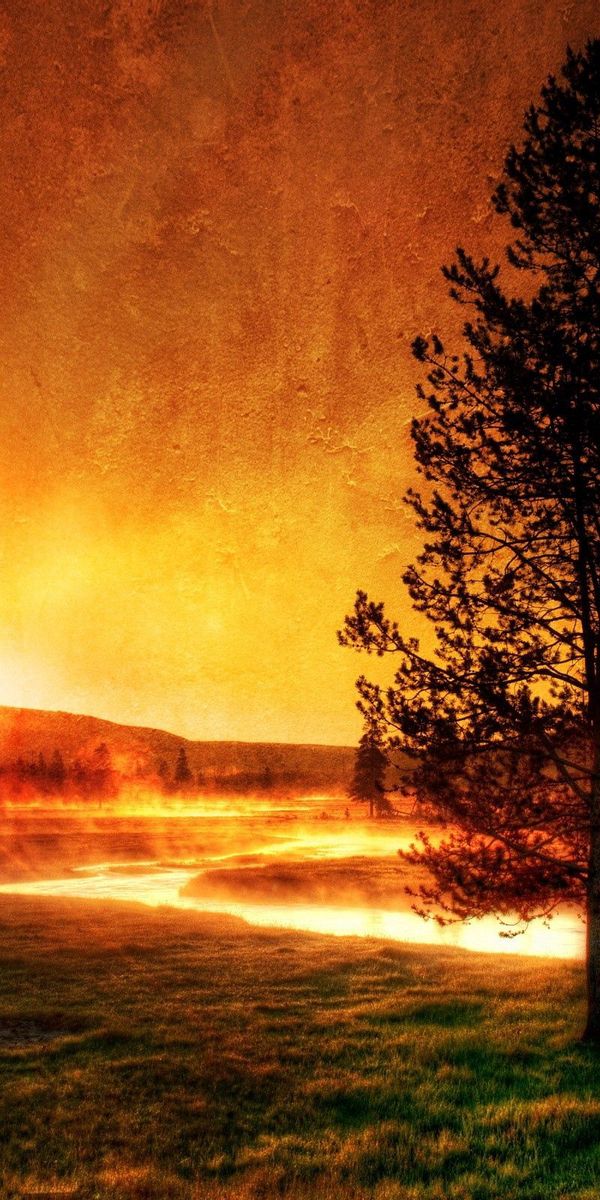 Phone wallpaper: Shore, Shores, Wood, Tree, Outlines, Evening, Paints, Rivers, Sunset, Sun, Nature,