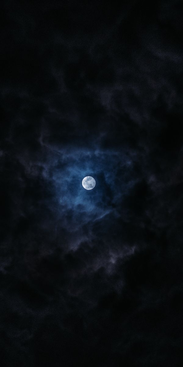 Enchanting Full Moon Illuminating the Night Sky