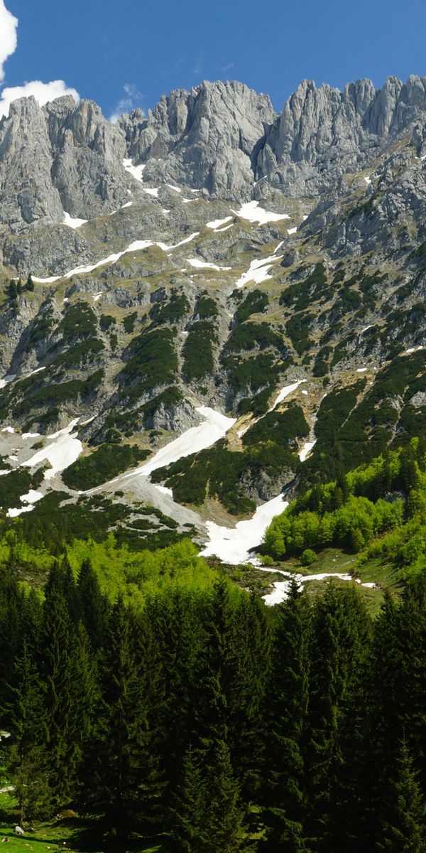 Ultra HD Mobile Wallpaper: Majestic Mountain Landscape with Lush Greenery