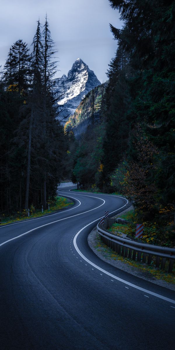 Winding Mountain Road Surrounded by Majestic Trees