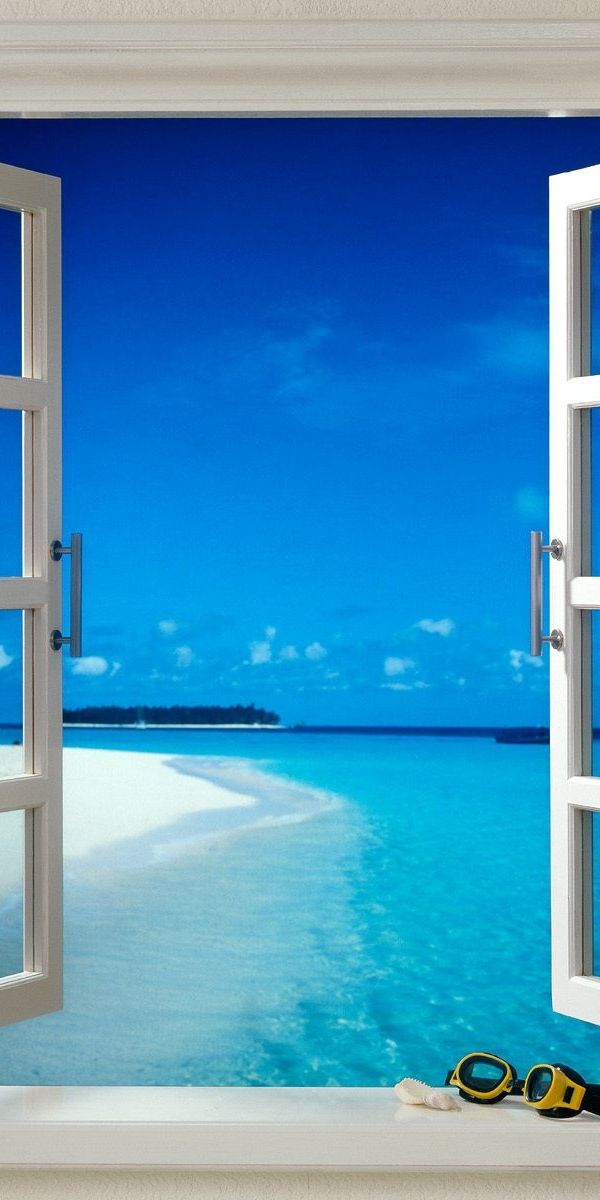 Breathtaking 4K Mobile Wallpaper: Ocean View Through a Window with Shells