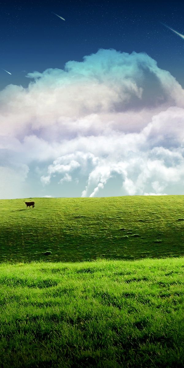 Breathtaking 4K Mobile Wallpaper Featuring a Lush Green Landscape with a Tree