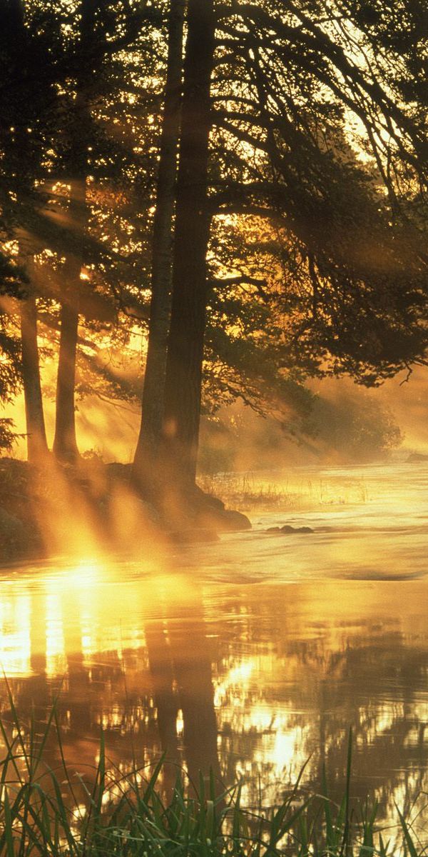 Breathtaking sunset river scene with sunbeams - Ideal 4K iPhone Background