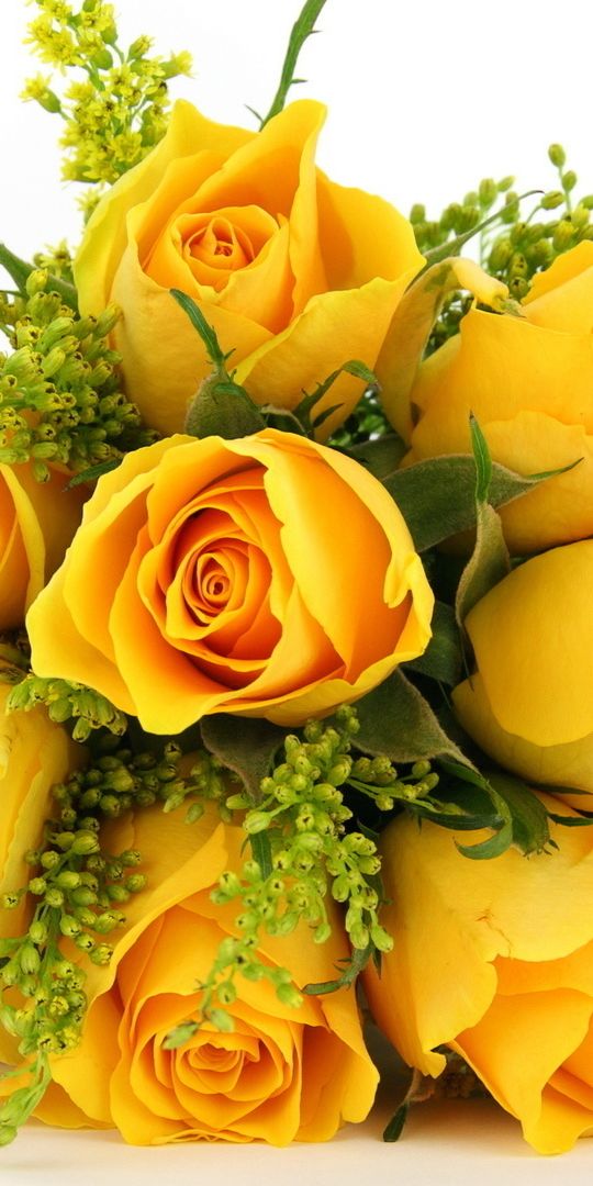 Beautiful Yellow Rose Bouquet Wallpaper