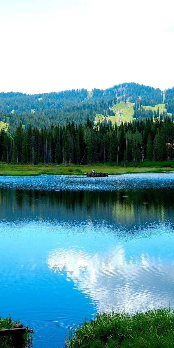 Beautiful Lakeside Landscape with Mountains and Reflection