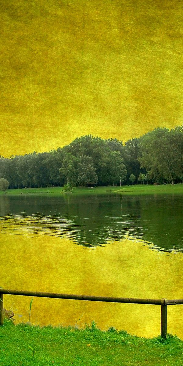 Phone wallpaper: Water, Plants, Landscape, Art free download
