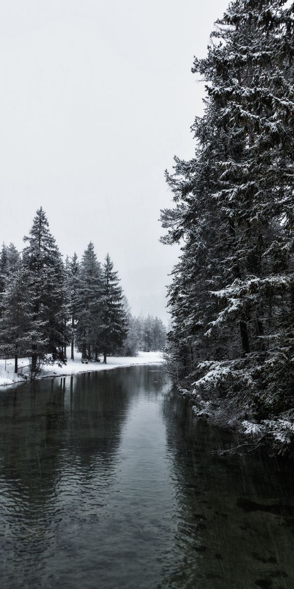Phone wallpaper: Trees, Nature, Snow, Rivers, Winter free download