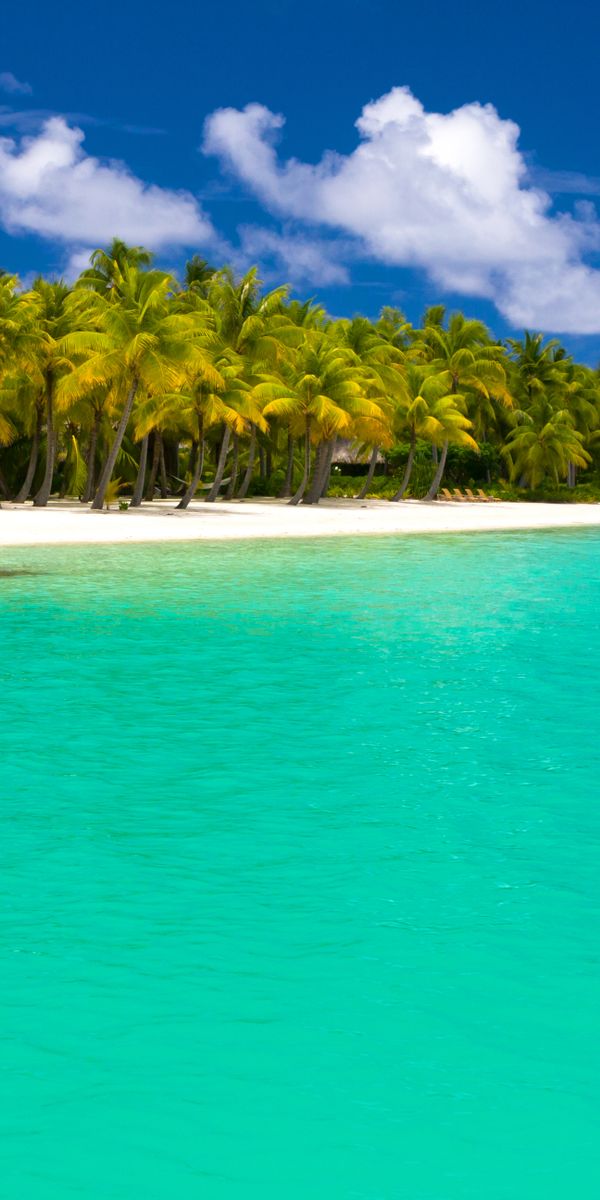 Breathtaking Maldives Beach Wallpaper: Tropical Paradise in 4K for iPhone