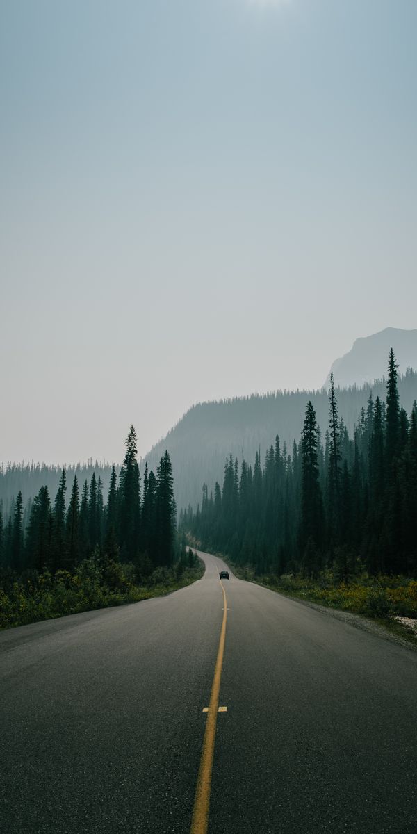 Breathtaking Scenic Mountain Road Surrounded by Fog