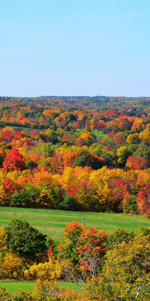 Breathtaking HD phone wallpaper featuring autumn trees and hills