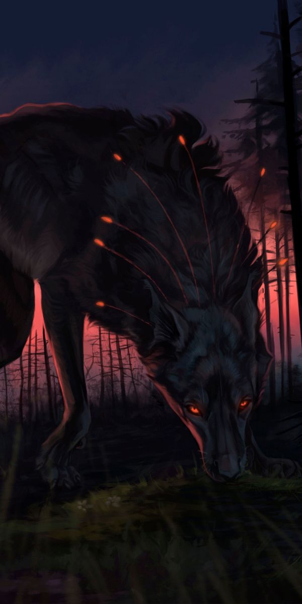 Phone wallpaper: Fantasy, Sunset, Bird, Forest, Wolf, Creature, Crow, Red Eyes, Fantasy Animals free