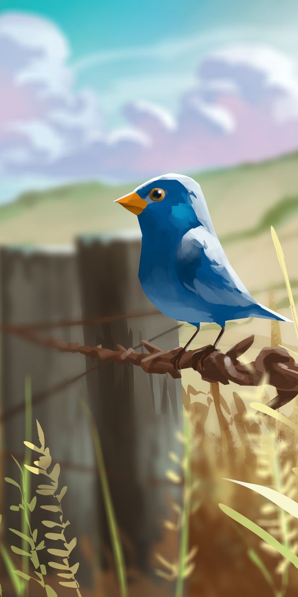 Blue Bird Perched on a Wire in Nature