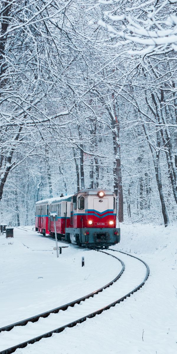 Snowy Train in a Winter Forest - Perfect Phone Wallpaper