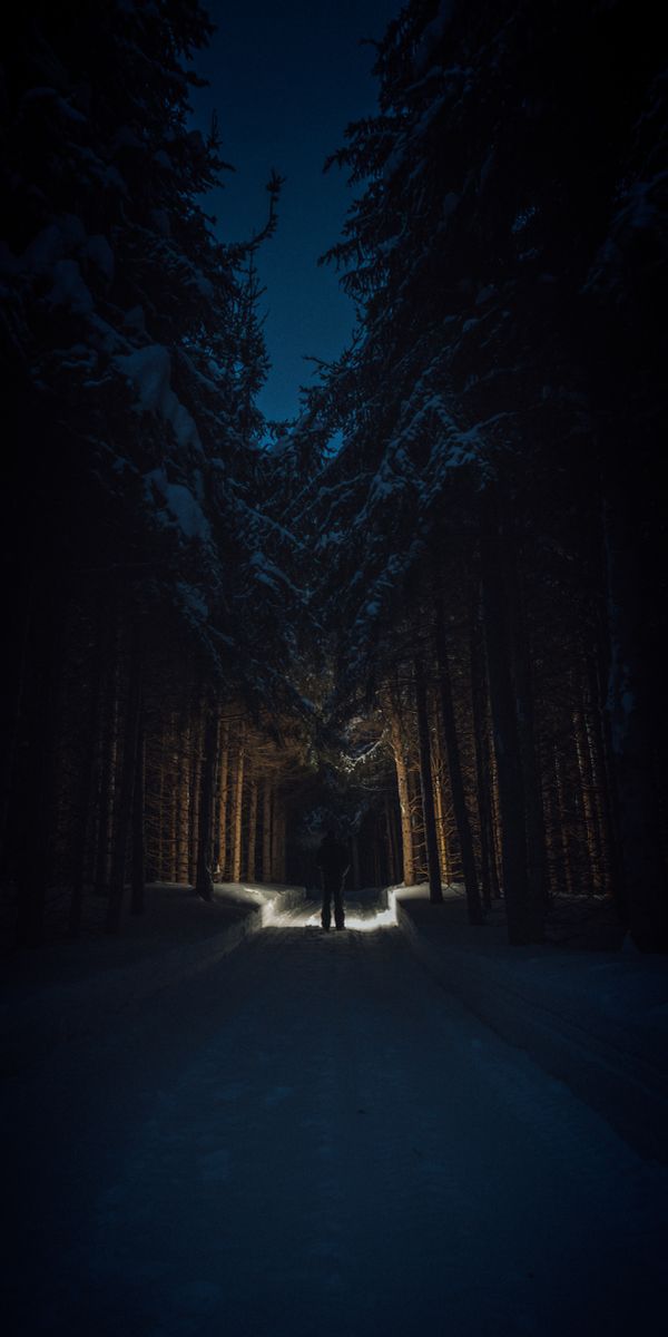 Mysterious Snowy Forest Pathway at Night