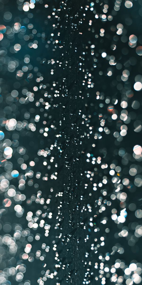 Phone wallpaper: Glare, Macro, Wet, Boquet, Smooth, Drops, Bokeh, Blur free download