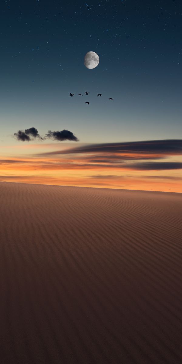 Breathtaking Desert Scene Under a Starry Sky with a Full Moon
