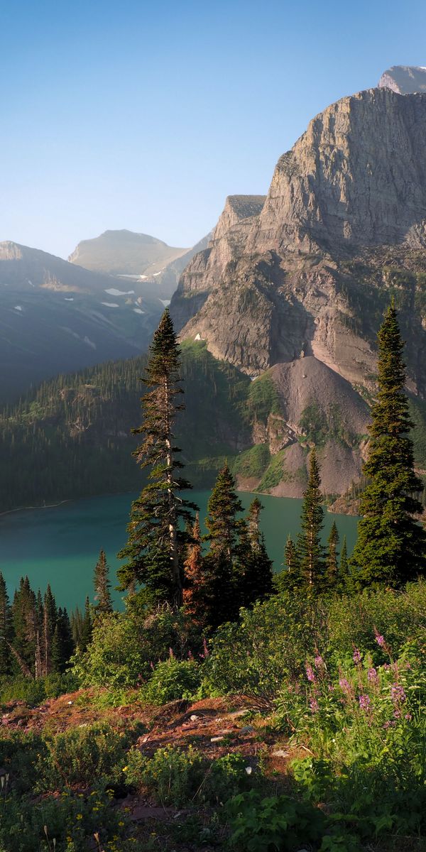 Breathtaking View of Mountain Lake Surrounded by Spruce Trees