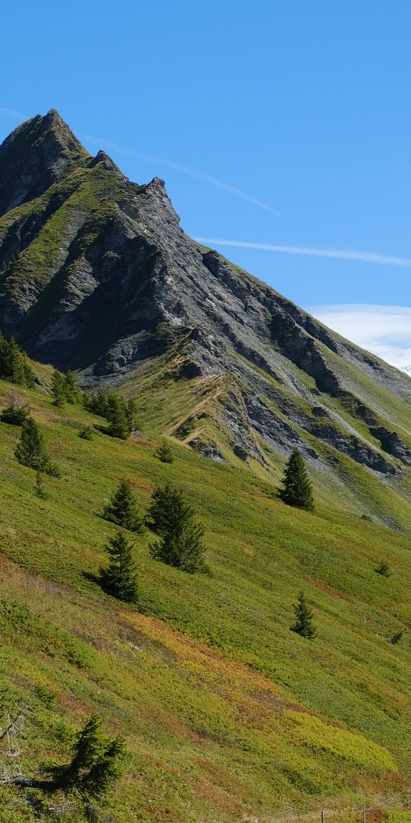 Phone wallpaper: Nature, Grass, Trees, Mountains, Landscape free download