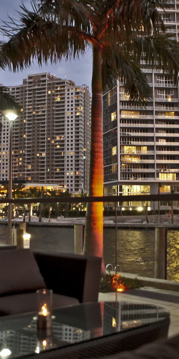 Beautiful Miami Cityscape at Night with Palm Trees