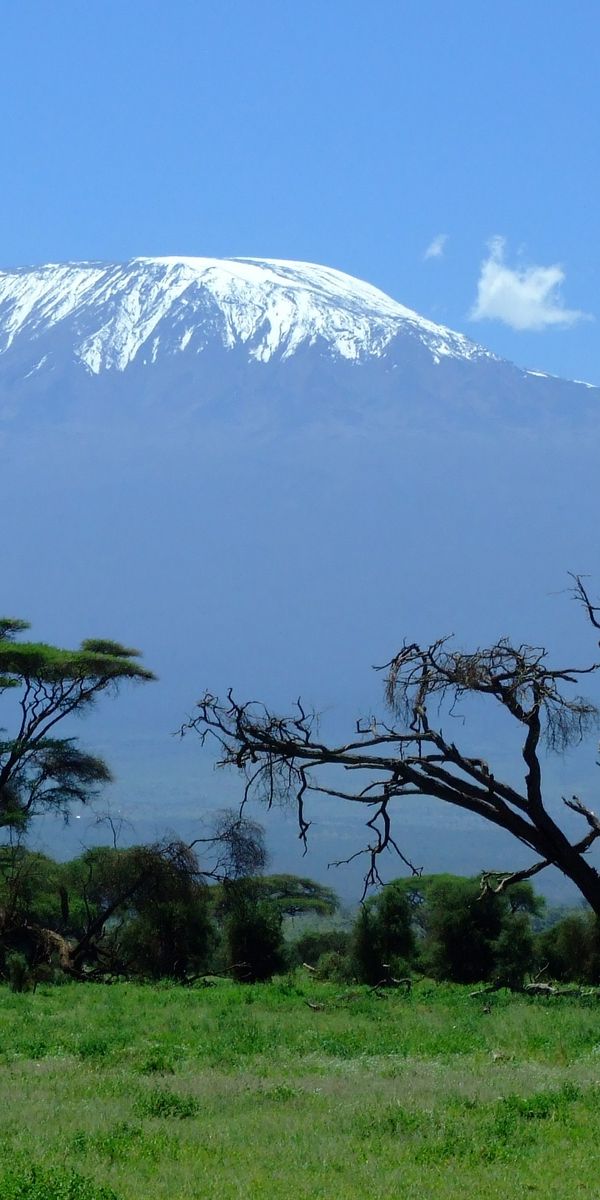 Breathtaking View of Mount Kilimanjaro in Africa