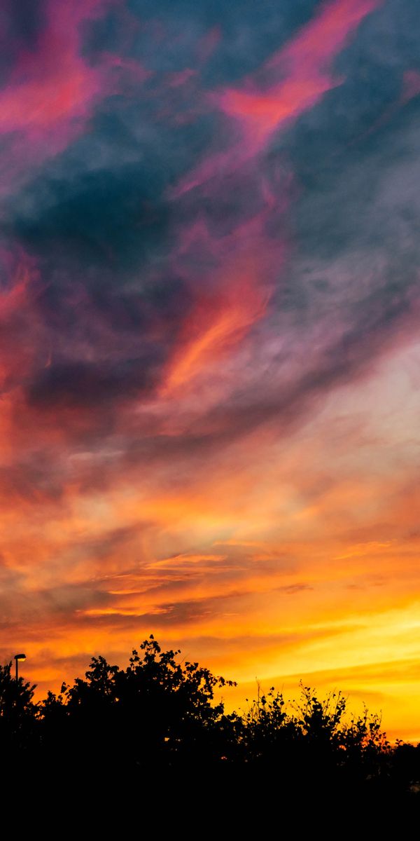 Phone wallpaper: Sunset, Silhouette, Earth, Colors, Colorful, Photography free download