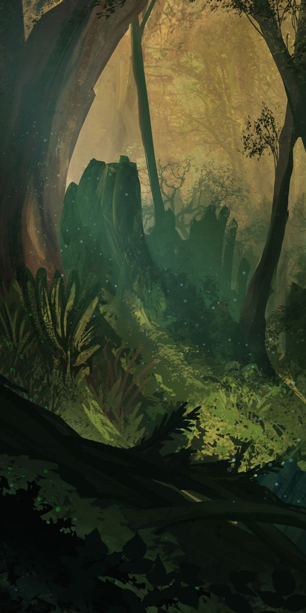 Enchanting Forest Scene with Lush Green Trees