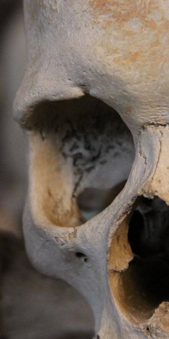 Phone wallpaper: Dark, Skull free download