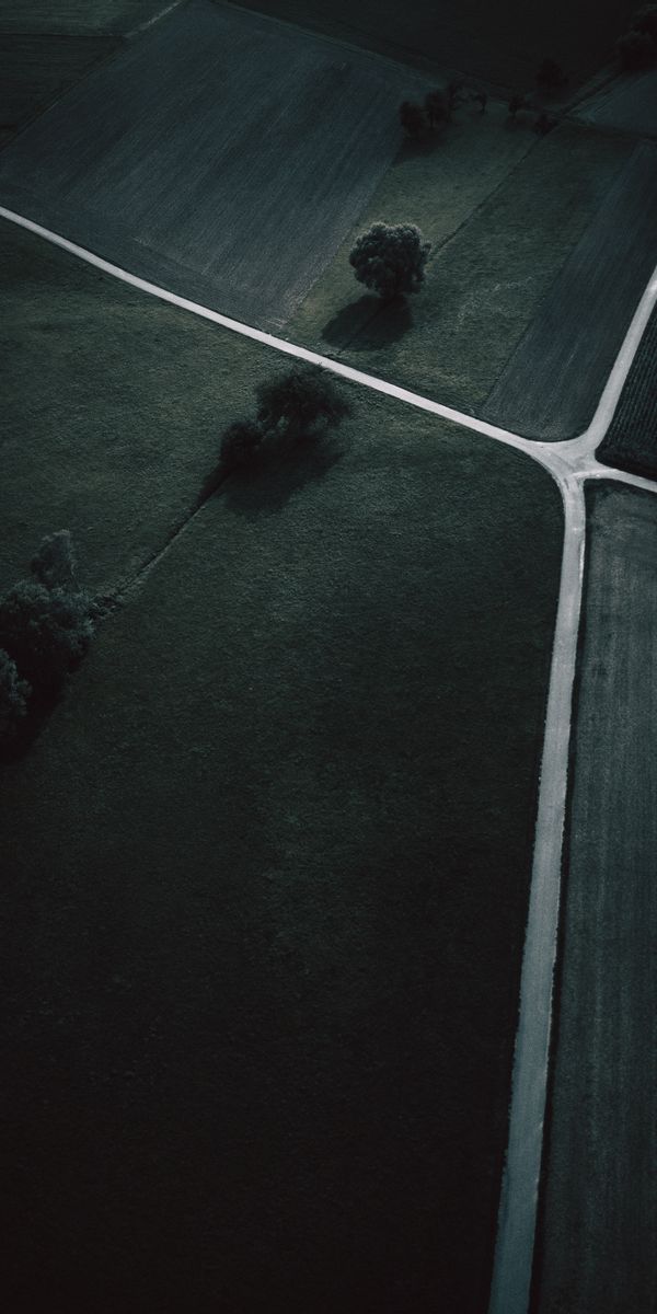 Aerial View of Dark Fields with Trees in Nature