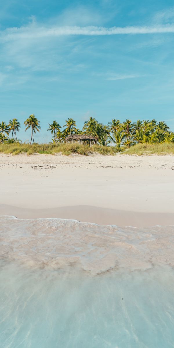 Phone wallpaper: Tropics, Palms, Bank, Shore, Nature, Beach, Ocean free download