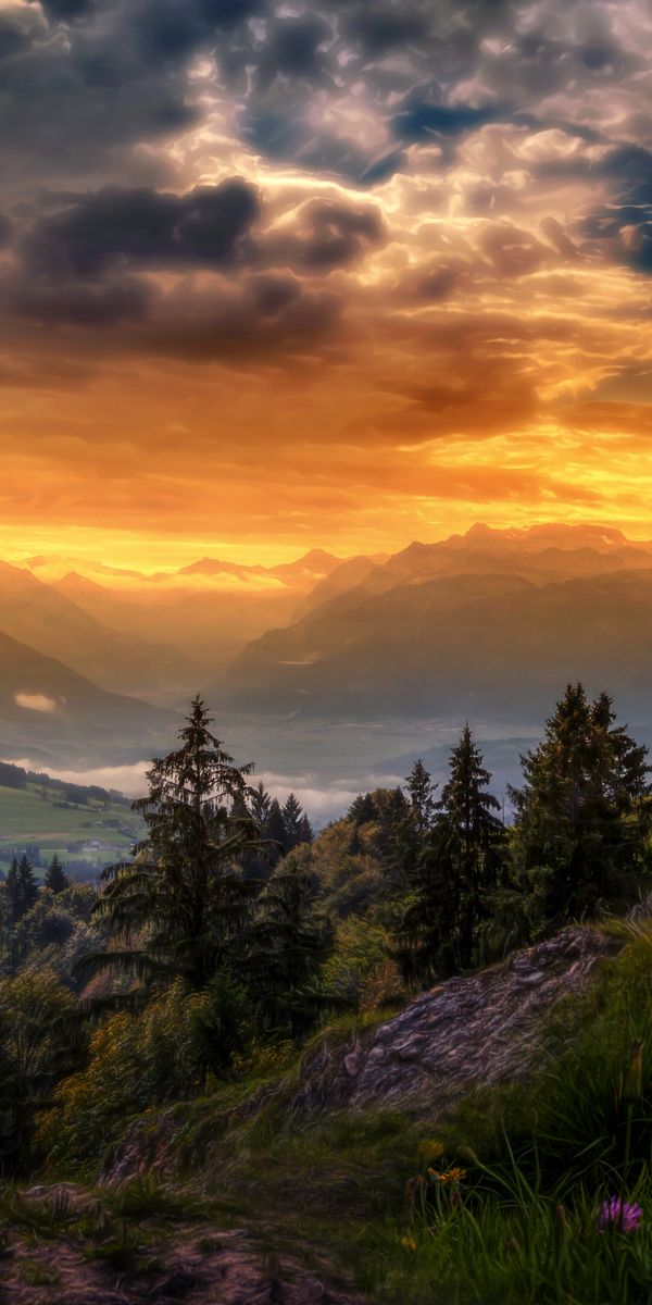 Phone wallpaper: Landscape, Sunset, Mountain, Flower, Tree, Switzerland, Valley, Cloud, Photography,