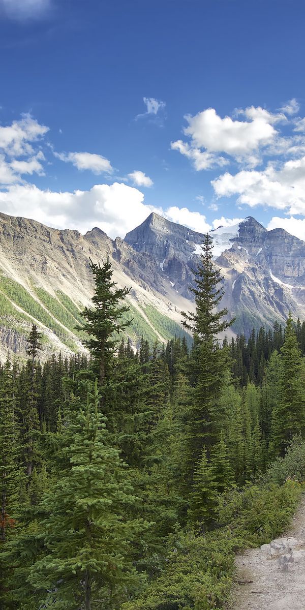 Phone wallpaper: Nature, Mountains, Mountain, Forest, Earth, Path free download