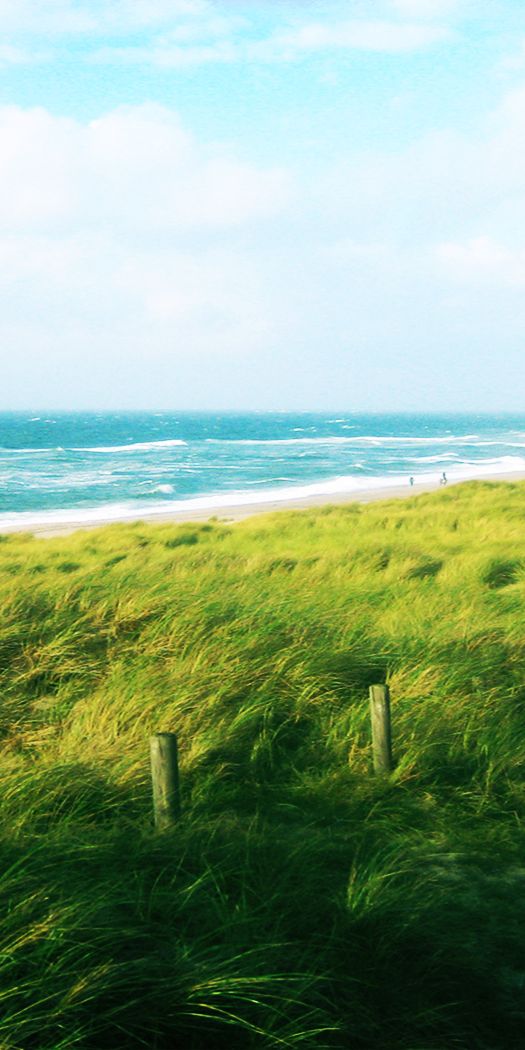 Phone wallpaper: Beach, Photography, Walkway free download