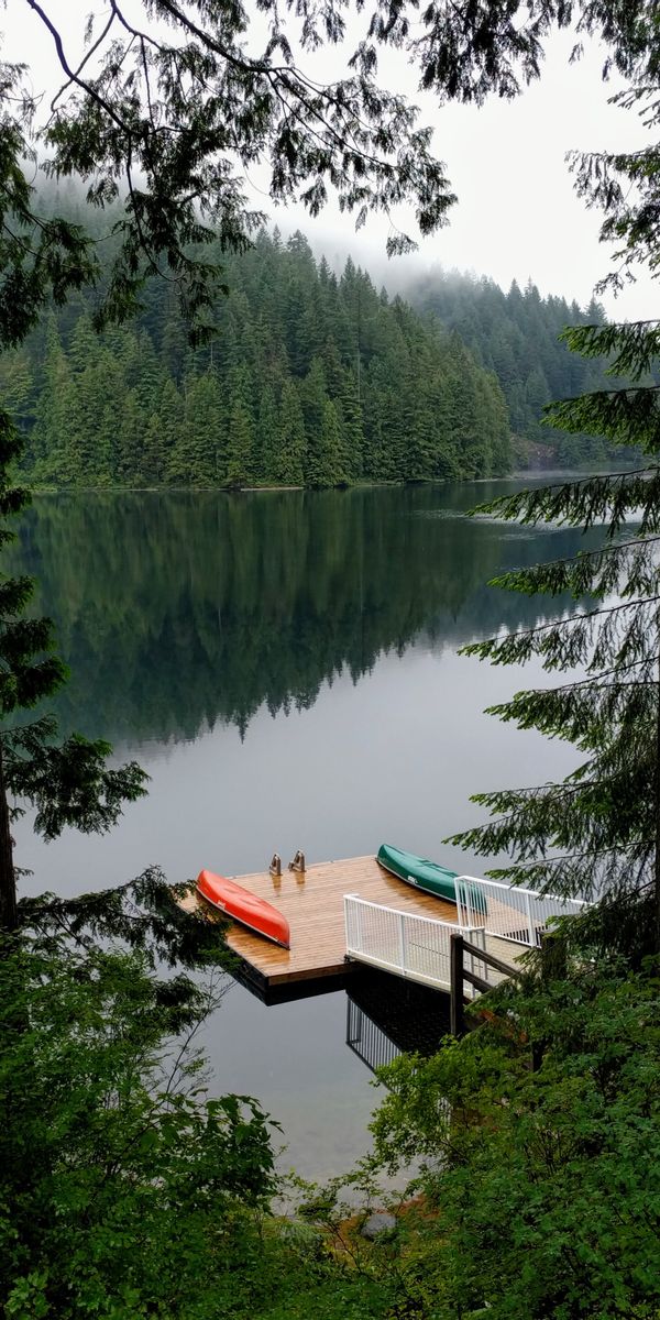 Tranquil 4K Phone Wallpaper: Forest Lake Reflection with Pier