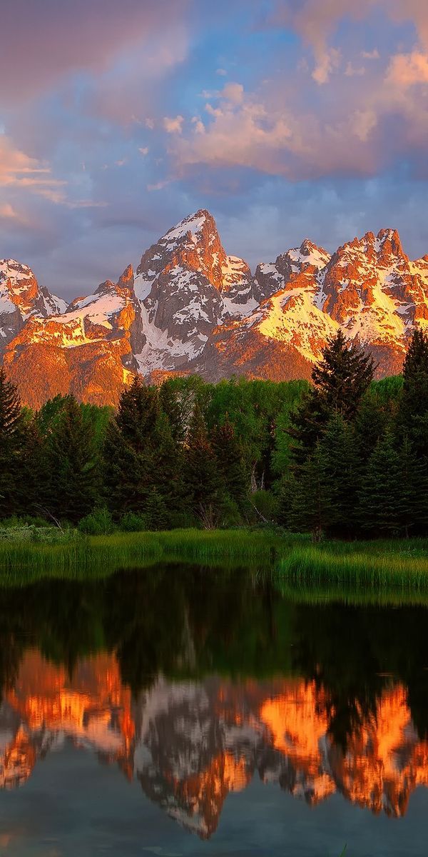 Phone wallpaper: The Teton Range, Wyoming, Grand Teton National Park, Wood, Mountains, Lake, Mountai